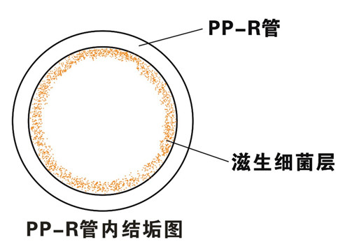 PP-R滲氧，易滋生細(xì)菌，有異味；腐蝕金屬連接件，降低使用壽命